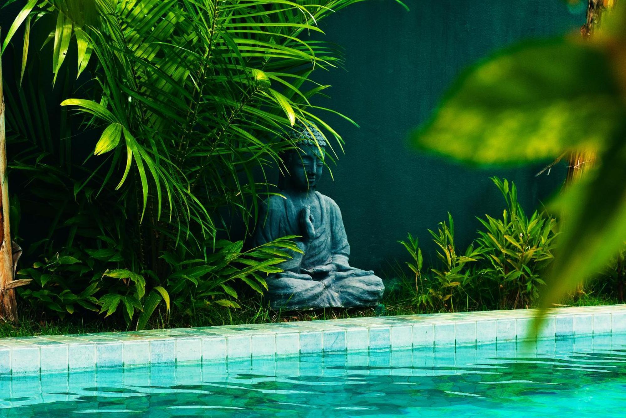 Tropicalia Chales Boutique Praia de Pipa 外观 照片